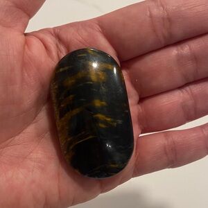 Polished Black and Golden Brown Stone Palm Palmstone